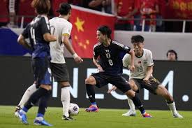 从中不仅能